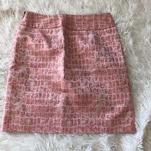 Luxurious Ann Taylor Skirt